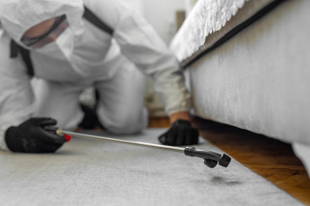 Professional Bed Bug Control technician working in Toulon, IL