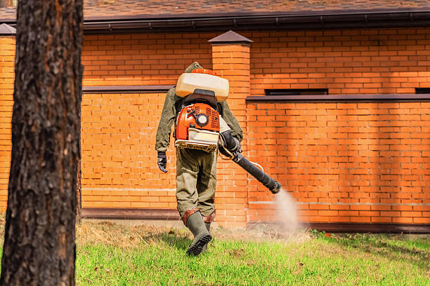 Trusted Cockroach Control service in Toulon, IL - Nex Pest Control